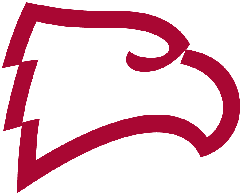 Winthrop Eagles 1995-Pres Alternate Logo v3 diy iron on heat transfer